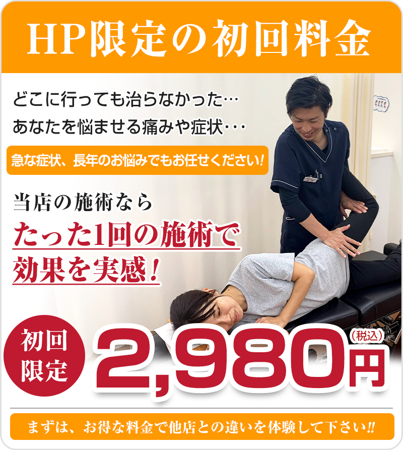 初回限定:2,980円(税込)