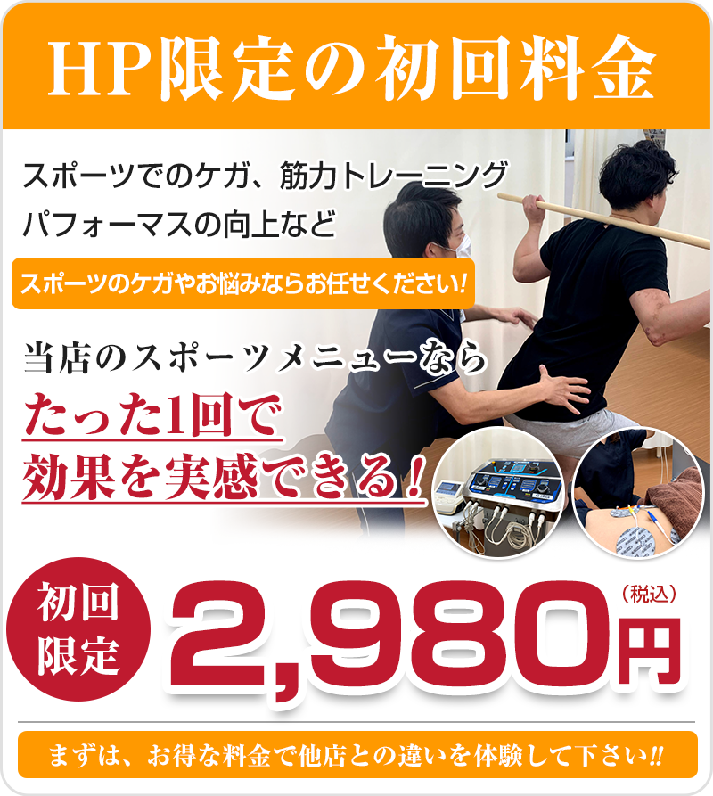 初回限定:2,980円(税込)